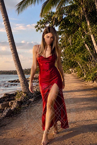 Transex Italiana  PADOVA 3427405556